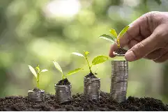 8000亿超长期国债发力，1459个硬核项目蓄势待发