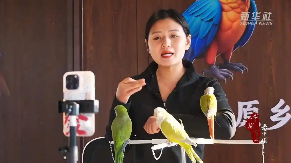 金翅振翅乡村兴——山东临沂特色产业绘就振兴新图景