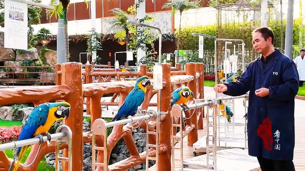 金翅振翅乡村兴——山东临沂特色产业绘就振兴新图景