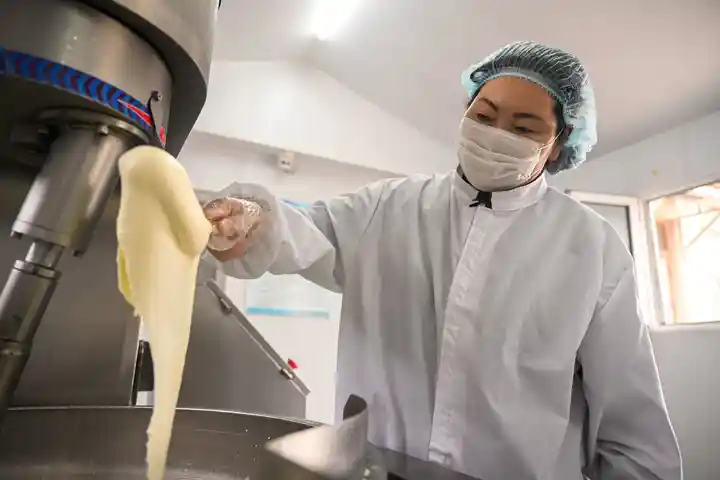 草原新韵：文化赋能绘就内蒙古致富新画卷