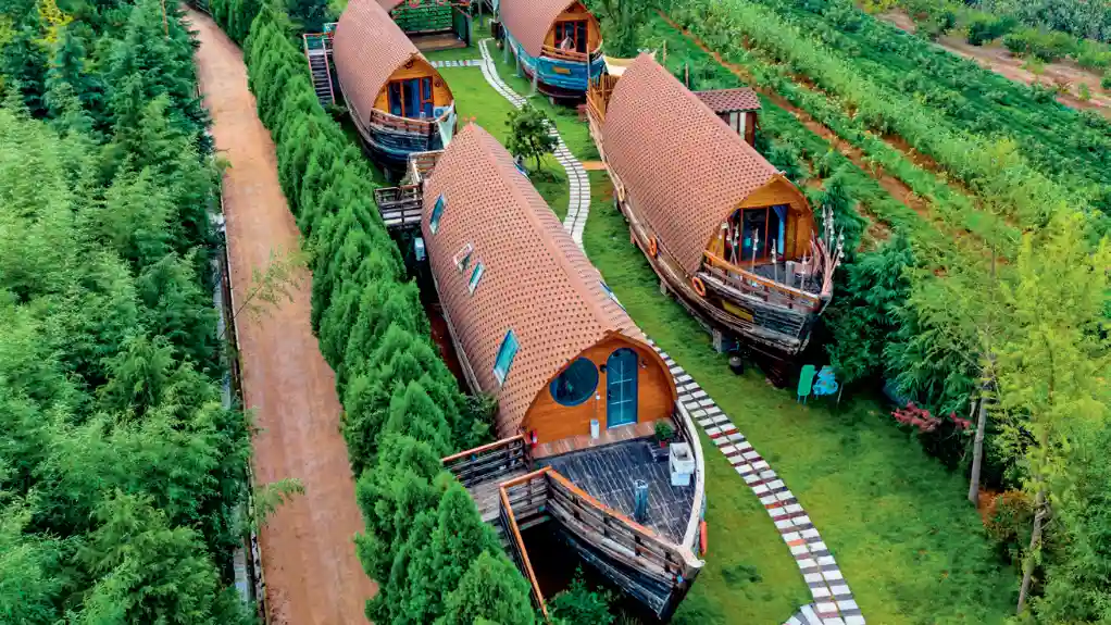 老闫守望大海：一位渔民的孤独与坚守